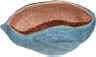 clam.jpg (22241 bytes)